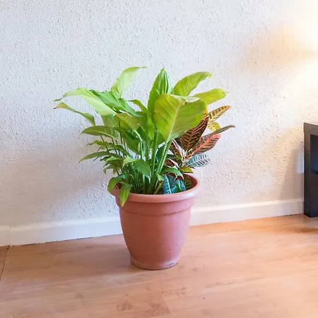 Apartment Entrepinares Malaga
